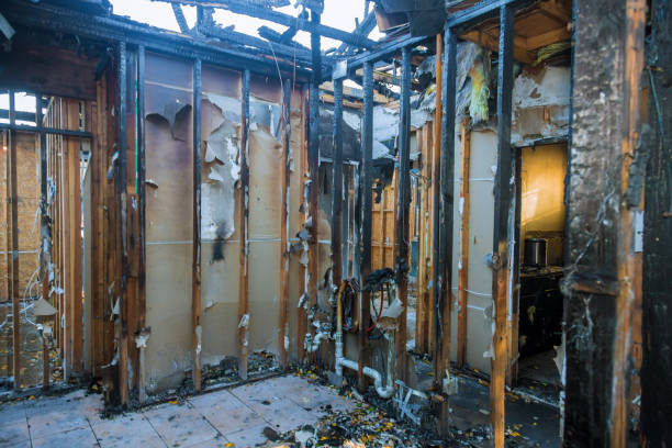 Professional Odor Removal technician working in Normal, IL